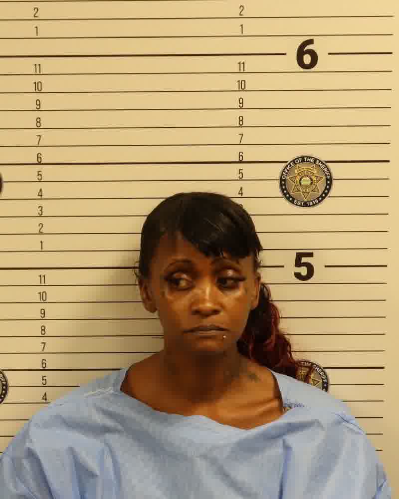 Mugshot of PHELPS, NICOLE ANTONIETTE